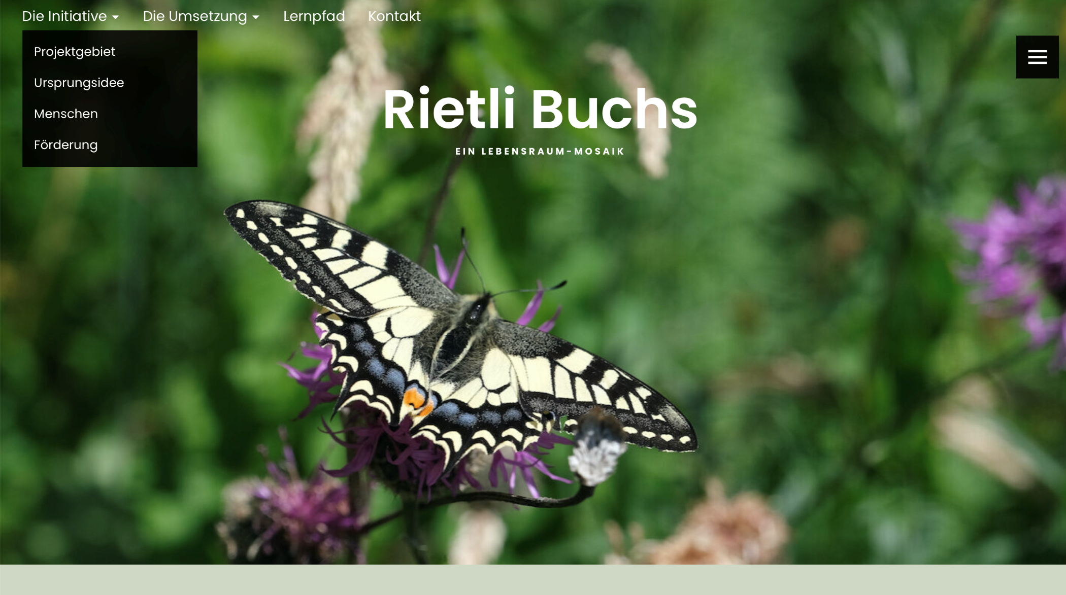Rietli Buchs – une mosaïque d’habitats